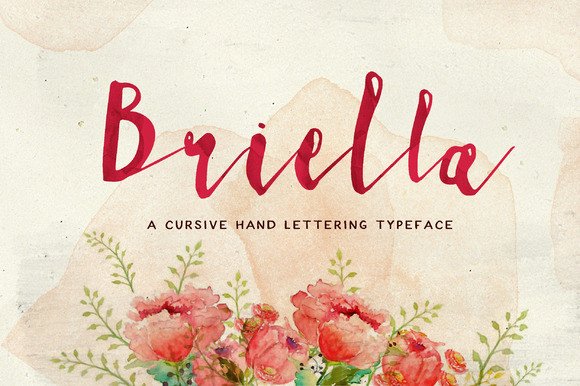 Briella: A Practical Guide for Real-World Use