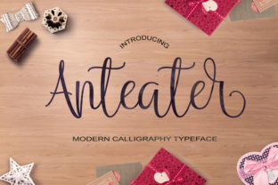 Evaluating Anteater for Workflow Automation and Data Processing