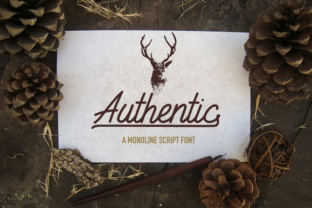 Exploring the Power of Authentic in Modern Digital Experiences