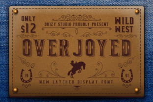 Finding Your Overjoyed: A Practical Guide to Lasting Fulfillment in a Distracted World