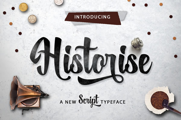 Historise: A Comprehensive Evaluation for Researchers and Decision-Makers