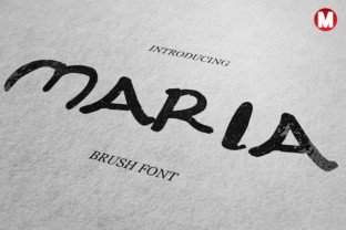 Maria: A Practical Workspace for Modern Professionals