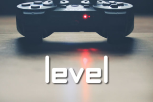 Navigating the Levels of Skill Acquisition and Practical Wisdom
