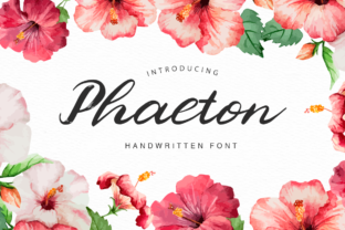 Phaeton: A Powerful Tool for Everyday Use