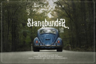 Strategic Use of Stangbunder for Better Decision-Making and Results