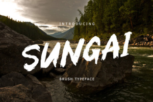 Sungai Brush: A Practical Evaluation for Creative Professionals