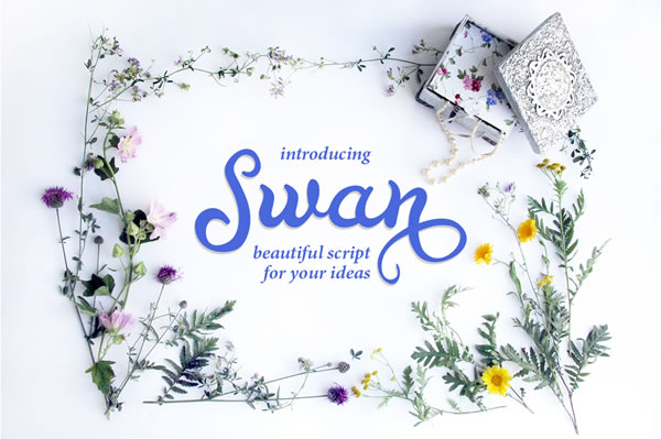 Swan: A Comprehensive Tool for Modern Content Creation