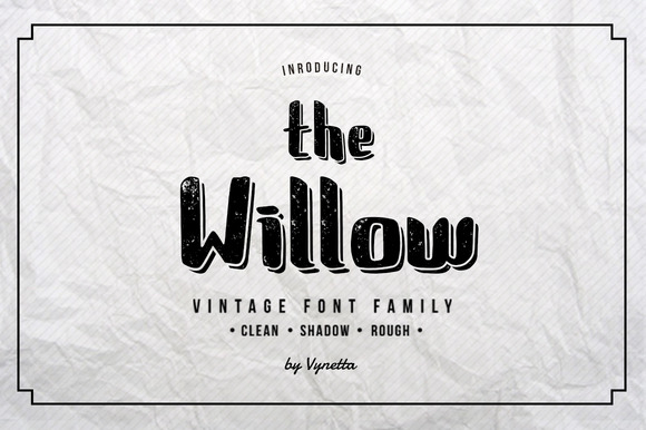 The Willow: A Practical Evaluation for Your Wellness Routine