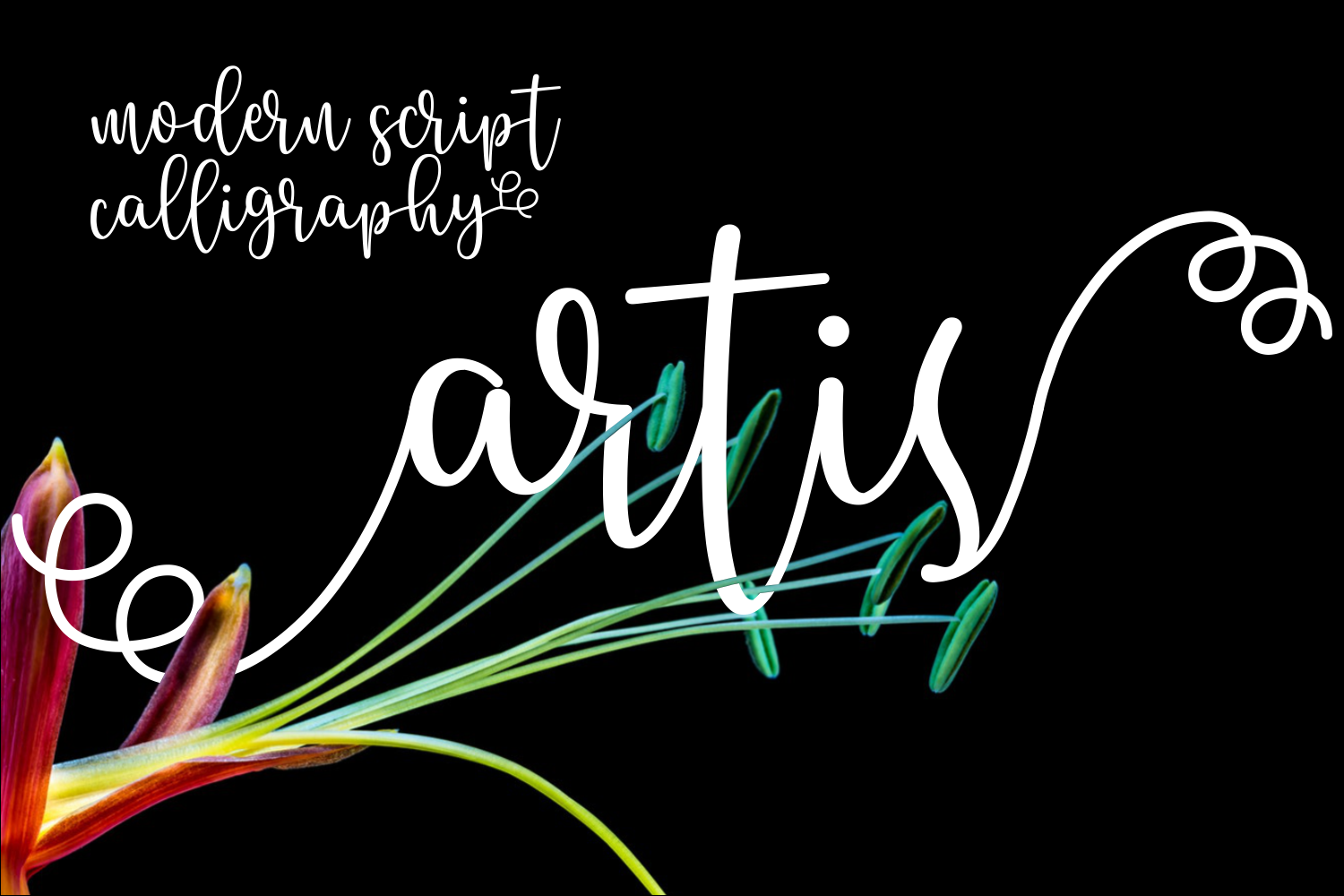 Understanding Artis: A Practical Guide for Real-World Solutions