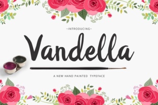Vandella: A Comprehensive Overview of Its Value and Utility
