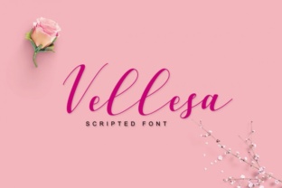 Vellesa Script: A Hand for Every Project